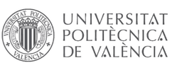 Universitat Politecnica de Valencia (CIGIP)